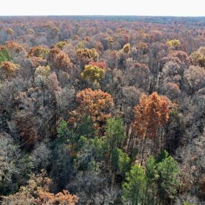 Photo #25 of SOLD property in Off Middlebrook Dr, Doswell, VA 13.8 acres