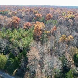 Photo #26 of SOLD property in Off Middlebrook Dr, Doswell, VA 13.8 acres