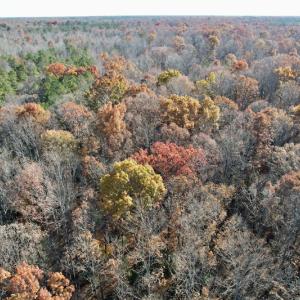 Photo #27 of SOLD property in Off Middlebrook Dr, Doswell, VA 13.8 acres