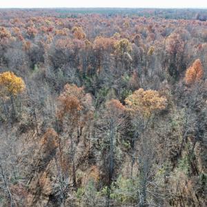 Photo #28 of SOLD property in Off Middlebrook Dr, Doswell, VA 13.8 acres