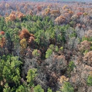 Photo #29 of SOLD property in Off Middlebrook Dr, Doswell, VA 13.8 acres