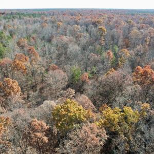 Photo #30 of SOLD property in Off Middlebrook Dr, Doswell, VA 13.8 acres