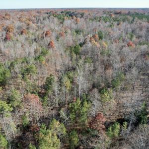Photo #31 of SOLD property in Off Middlebrook Dr, Doswell, VA 13.8 acres