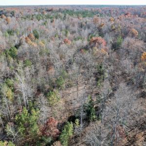 Photo #32 of SOLD property in Off Middlebrook Dr, Doswell, VA 13.8 acres