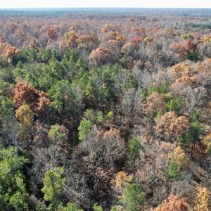 Photo #33 of SOLD property in Off Middlebrook Dr, Doswell, VA 13.8 acres