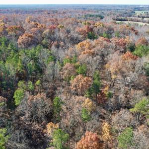 Photo #35 of SOLD property in Off Middlebrook Dr, Doswell, VA 13.8 acres