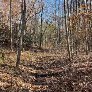 Photo #4 of SOLD property in Off Middlebrook Dr, Doswell, VA 13.8 acres