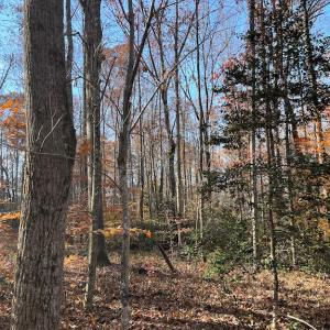 Photo #7 of SOLD property in Off Middlebrook Dr, Doswell, VA 13.8 acres