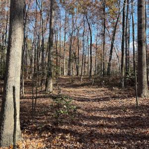 Photo #8 of SOLD property in Off Middlebrook Dr, Doswell, VA 13.8 acres