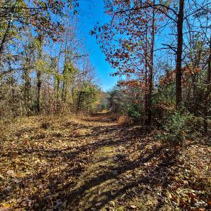 Photo #1 of SOLD property in Off Sandy Creek Church Road, Ringgold, VA 62.0 acres