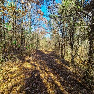 Photo #3 of SOLD property in Off Sandy Creek Church Road, Ringgold, VA 62.0 acres