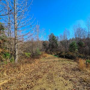 Photo #5 of SOLD property in Off Sandy Creek Church Road, Ringgold, VA 62.0 acres