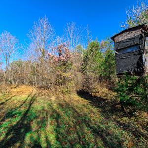 Photo #6 of SOLD property in Off Sandy Creek Church Road, Ringgold, VA 62.0 acres