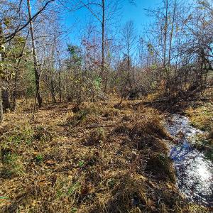 Photo #11 of SOLD property in Off Sandy Creek Church Road, Ringgold, VA 62.0 acres