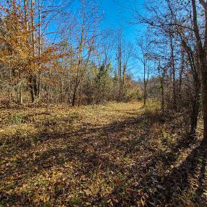 Photo #12 of SOLD property in Off Sandy Creek Church Road, Ringgold, VA 62.0 acres
