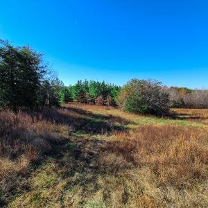 Photo #15 of SOLD property in Off Sandy Creek Church Road, Ringgold, VA 62.0 acres