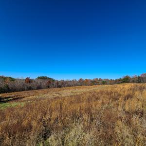 Photo #16 of SOLD property in Off Sandy Creek Church Road, Ringgold, VA 62.0 acres