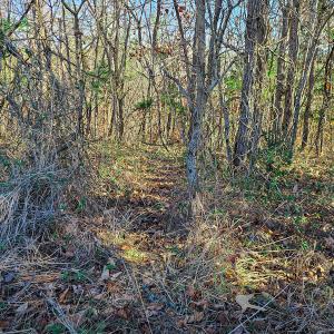 Photo #18 of SOLD property in Off Sandy Creek Church Road, Ringgold, VA 62.0 acres