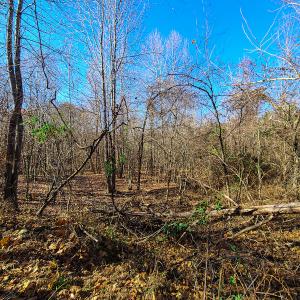 Photo #20 of SOLD property in Off Sandy Creek Church Road, Ringgold, VA 62.0 acres