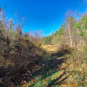 Photo #21 of SOLD property in Off Sandy Creek Church Road, Ringgold, VA 62.0 acres