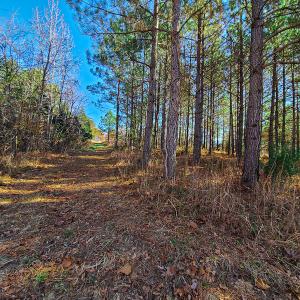 Photo #27 of SOLD property in Off Sandy Creek Church Road, Ringgold, VA 62.0 acres