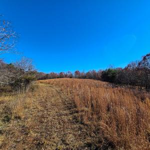 Photo #34 of SOLD property in Off Sandy Creek Church Road, Ringgold, VA 62.0 acres