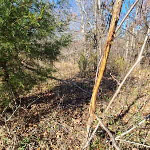 Photo #36 of SOLD property in Off Sandy Creek Church Road, Ringgold, VA 62.0 acres