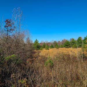Photo #38 of SOLD property in Off Sandy Creek Church Road, Ringgold, VA 62.0 acres
