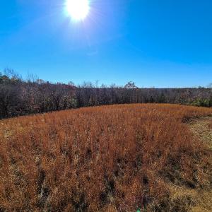 Photo #39 of SOLD property in Off Sandy Creek Church Road, Ringgold, VA 62.0 acres
