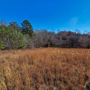 Photo #41 of SOLD property in Off Sandy Creek Church Road, Ringgold, VA 62.0 acres