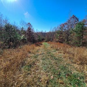 Photo #42 of SOLD property in Off Sandy Creek Church Road, Ringgold, VA 62.0 acres