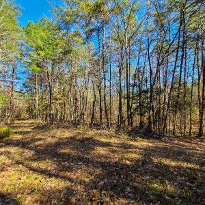 Photo #43 of SOLD property in Off Sandy Creek Church Road, Ringgold, VA 62.0 acres