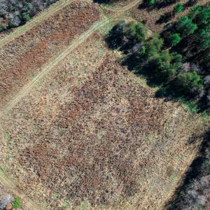 Photo #49 of SOLD property in Off Sandy Creek Church Road, Ringgold, VA 62.0 acres