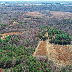 Photo #60 of SOLD property in Off Sandy Creek Church Road, Ringgold, VA 62.0 acres