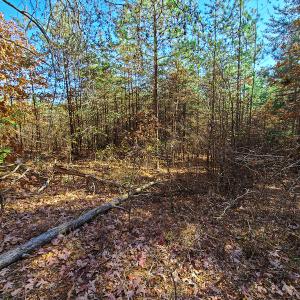 Photo #13 of SOLD property in Off McGinnis Lane, Ringgold, VA 5.0 acres