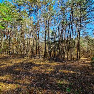 Photo #2 of SOLD property in Off McGinnis Lane, Ringgold, VA 5.0 acres