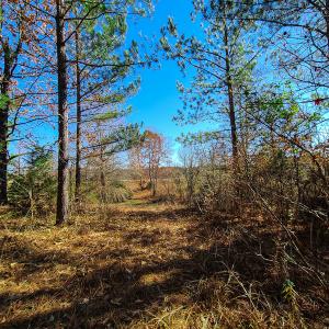 Photo #6 of SOLD property in Off McGinnis Lane, Ringgold, VA 5.0 acres