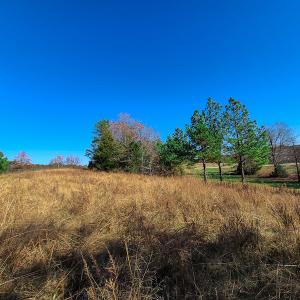 Photo #8 of SOLD property in Off McGinnis Lane, Ringgold, VA 5.0 acres