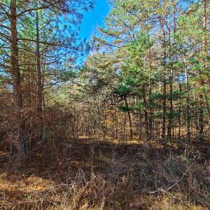 Photo #12 of SOLD property in Off McGinnis Lane, Ringgold, VA 5.0 acres