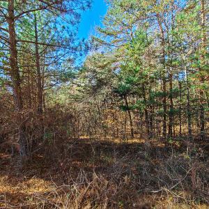 Photo #13 of SOLD property in Off McGinnis Lane, Ringgold, VA 5.0 acres