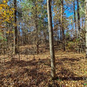 Photo #19 of SOLD property in Off McGinnis Lane, Ringgold, VA 5.0 acres