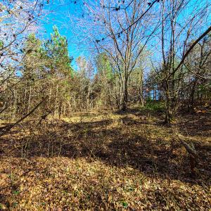 Photo #20 of SOLD property in Off McGinnis Lane, Ringgold, VA 5.0 acres