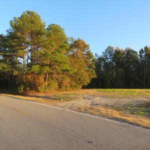 Photo #2 of SOLD property in Off Dallas Road, Lumberton, NC 98.3 acres
