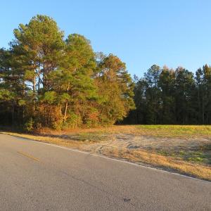 Photo #2 of SOLD property in Off Dallas Road, Lumberton, NC 98.3 acres