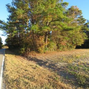 Photo #12 of SOLD property in Off Dallas Road, Lumberton, NC 98.3 acres