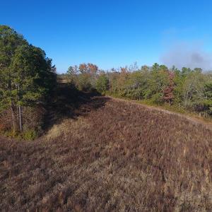 Photo #3 of SOLD property in Off John L Road, Maxton, NC 8.0 acres