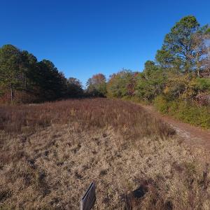 Photo #4 of SOLD property in Off John L Road, Maxton, NC 8.0 acres
