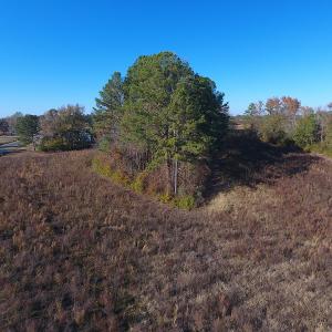 Photo #5 of SOLD property in Off John L Road, Maxton, NC 8.0 acres