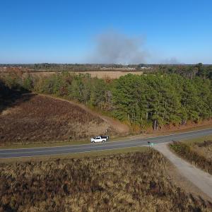 Photo #8 of SOLD property in Off John L Road, Maxton, NC 8.0 acres