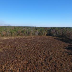 Photo #4 of SOLD property in Off John L Road, Maxton, NC 7.4 acres